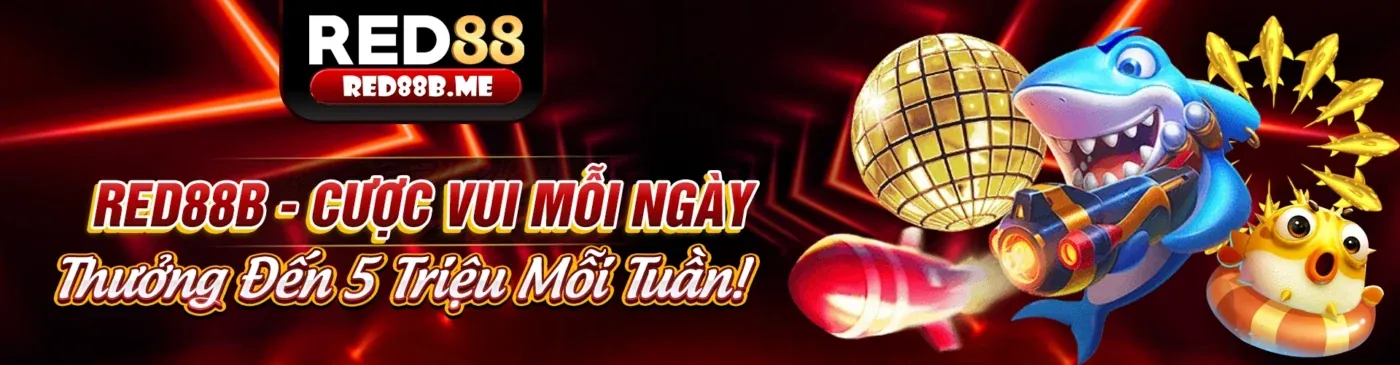 Tổng quan về Nbet88 Link Mới, một nền tảng cá cược trực tuyến chuyên nghiệp và đáng tin cậy